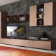 Wardrobe in the living room for a TV: types, tips for choosing and placing