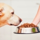 How much dry food should you give your dog a day?