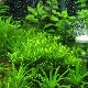 CO2 for an aquarium: description, varieties, selection and production