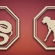 Dog and Snake: male and female compatibility