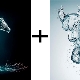 Ox and Horse Compatibility