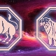 Ox and Tiger compatibility