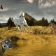 Tiger and Horse compatibility in friendship, work and love