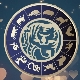 Tiger Dog Compatibility