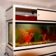 Aquarium racks: selection and creation