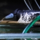 UV sterilizers for aquarium: features, selection and use