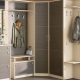 Narrow wardrobes in the hallway: types, sizes and selection
