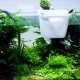 Aquarium water: what can you fill in and how to do it?