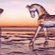 Snake and Horse: male and female compatibility