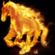 2026 - the year of which animal and what does it mean?