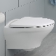Rimless wall-hung toilets: how are they arranged and how to choose the right one?