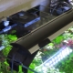 How and how to cool the water in the aquarium?