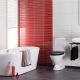 How to decorate the walls in the bathroom besides tiles?
