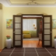 Doors to the hall: varieties, selection, installation, examples