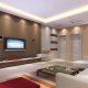 Duplex plasterboard ceilings for the living room