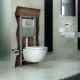 Installation for the toilet: description, types and selection