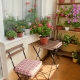 How to use flowers to decorate balconies and loggias?
