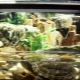 How to set up a turtle aquarium?
