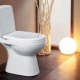 Varieties of toilets