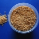 Food for aquarium fish: varieties and choices