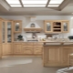 Kitchens with built-in appliances: what are they and how to arrange them?