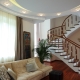 Stairs in the living room: their types and tips for location