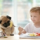 Can potatoes be given to dogs and what are the restrictions?