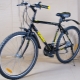 Pioneer bike review