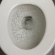 Overview of types of flush toilets