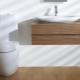 Features and variety of models of Laufen toilets