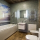 Panels for the bathroom: features, varieties and tips for choosing