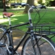 Front rack for a bicycle: types, features, recommendations for choosing
