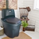 Plastic toilets for a country toilet: features, types, tips for choosing