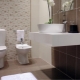 Toilet tiles: types and design ideas