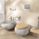 Hanging toilets: advantages, disadvantages and recommendations for choosing
