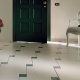 Floor in the hallway: features, types and tips for choosing