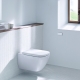 Wall hung toilet rating