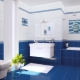 Blue bathroom tiles: pros and cons, varieties, choices, examples