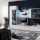 Modern walls in the living room: types, choices and options in the interior