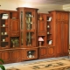 Wall in the living room without a TV niche: pros and cons, choice and placement