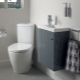 Corner toilets: description and varieties