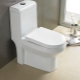 Monoblock toilet: features and recommendations for choosing