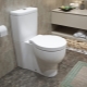 Toilet bowl height: norms and standards