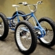 Four-wheeled bicycles: what are there and how to choose the right one?