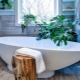 Flowers in the bathroom: types, recommendations for choosing