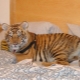Wild pets: pros, cons and features of keeping