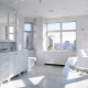 Large bathroom design