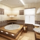 Bathroom design 9 sq. m: features and examples