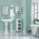 Bathroom design with painted walls