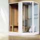 Showers with a sauna: what are there and how to choose?